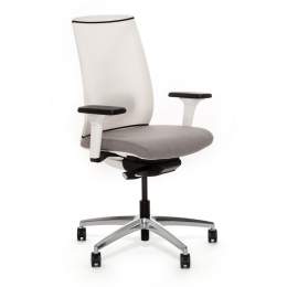 Кресло Dion M WW